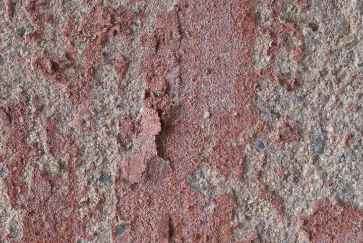 Affresco, particolare
