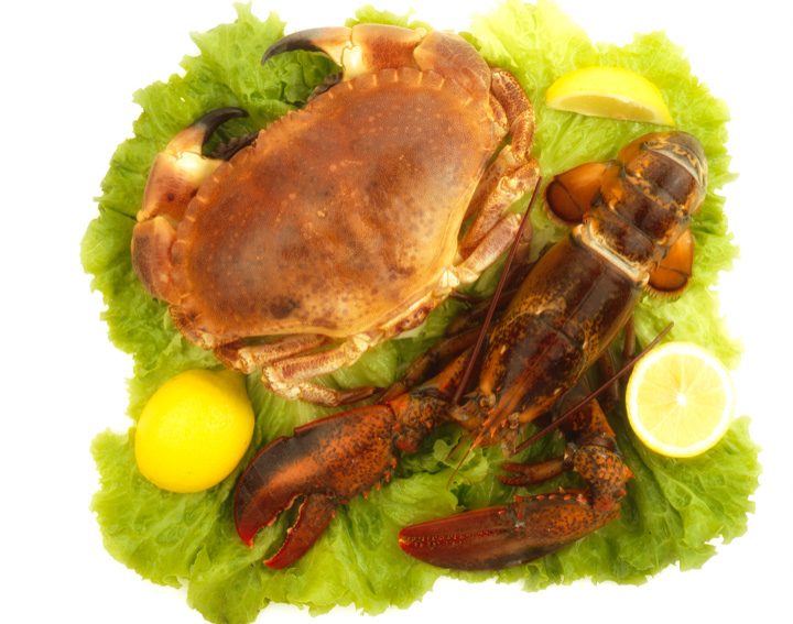 Foto food